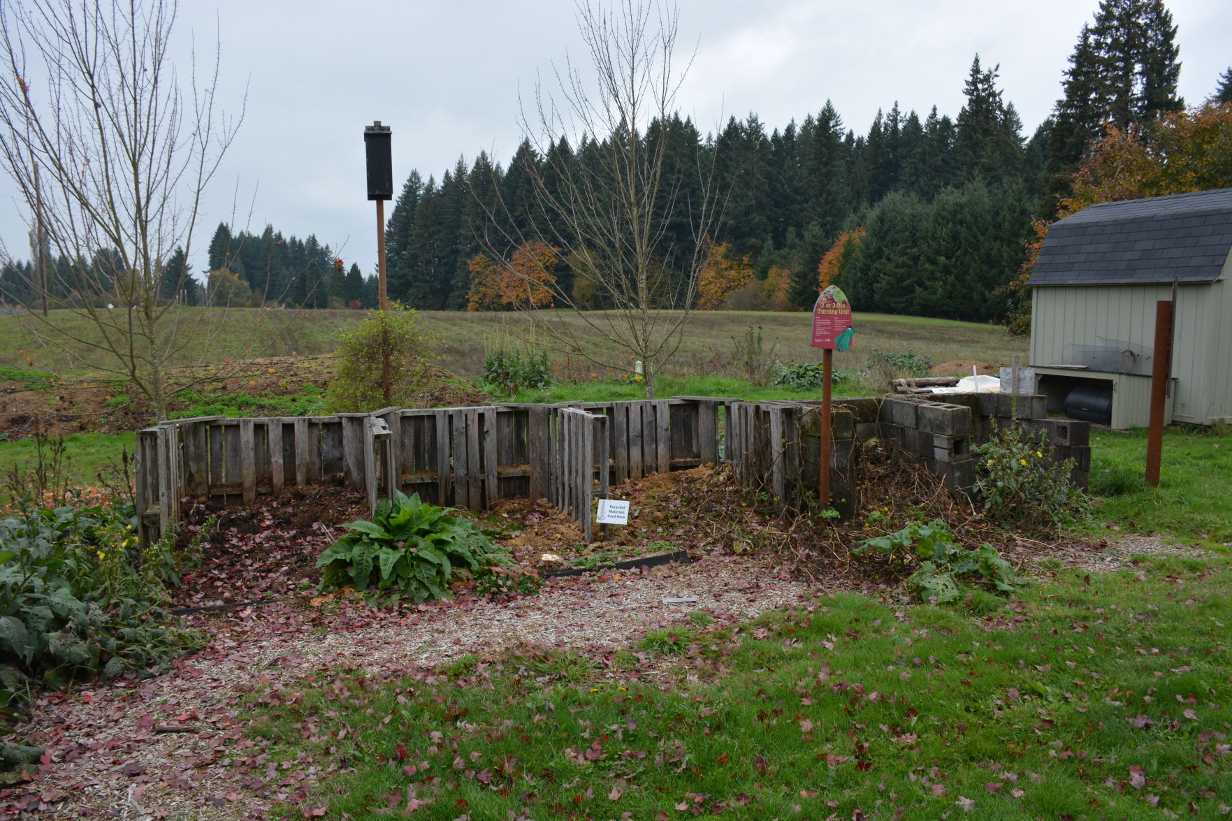 Piles